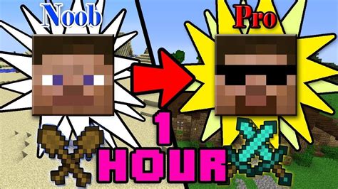 One Hour Of How To Transform From Noob To Pro In Minecraft Noob