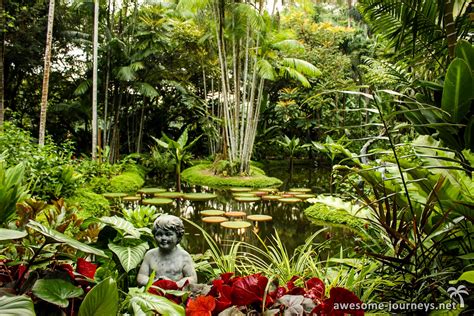 Der botanische garten bei bedugul ist einer von vier botanischen gärten in indonesien und gehört zum indonesischen institut für wissenschaften (lipi). Singapur - Zoo & Botanischer Garten (Singapur ...