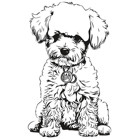 Premium Vector Bichons Frise Dog Silhouette Pet Character Clip Art