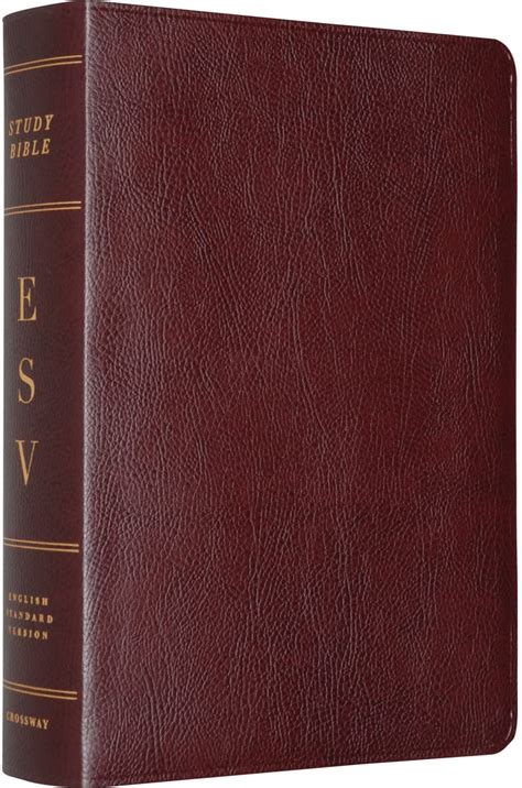 Esv Study Bible Burgundy Esv Bibles By Crossway 9781433502385