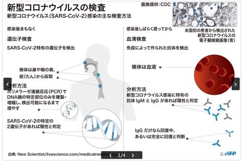 図解新型コロナ感染の検査方法とウイルスの構造 TT Science Lab