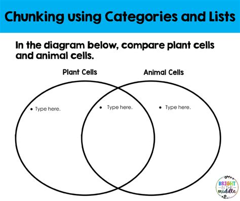 Chunking Memory Strategy In Middle School Science Bright In The Middle