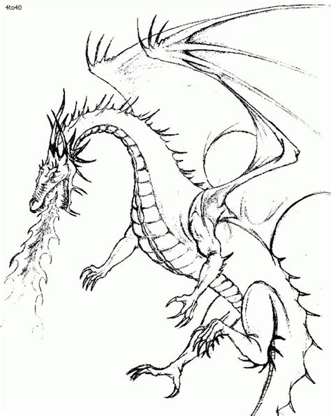 Fire Breathing Dragons Coloring Pages At Free