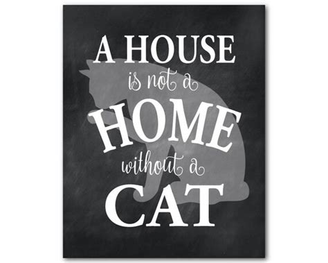 Items Similar To Unique T For Cat Lover A House Is Not A Home