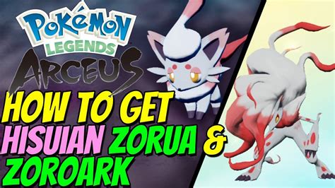 How To Get Hisuian Zorua And Zoroark In Pokémon Legends Arceus Youtube