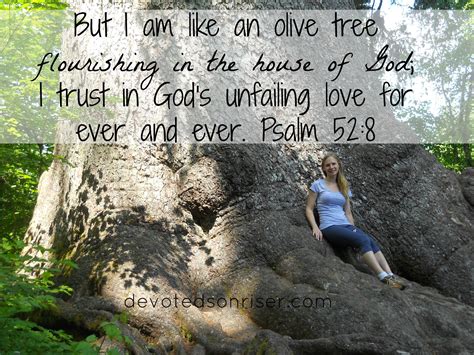 But I Am Like An Olive Tree Flourishing In The House Of God I Trust In