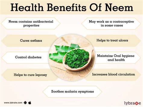 Neem Benefits And Its Side Effects Lybrate
