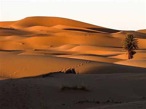It is the proud home of our international community of eosians. Where Does The Sahara Desert Lie? - WorldAtlas.com