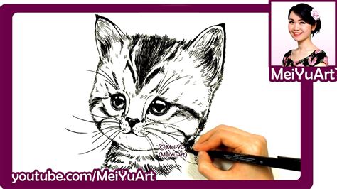 How I Draw A Cat Drawing A Realistic Cute Kitten With