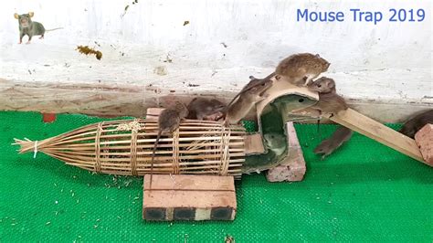 The Best Mouse Trap How To Make Mousetrap Mouse Trap With Fish