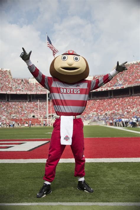 This is the ohio state buckeye. What is the Ohio State mascot? - Quora