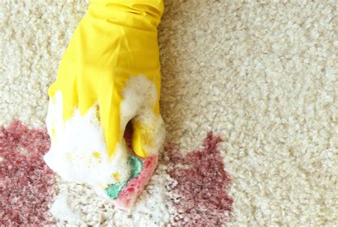 How To Remove Blood Stains From Carpet With Vinegar Review Home Co