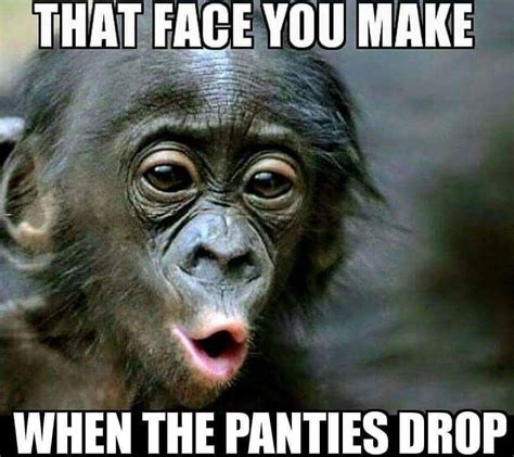 31 Top Notch Pics And Memes To Make You Laugh Funny Monkey Pictures