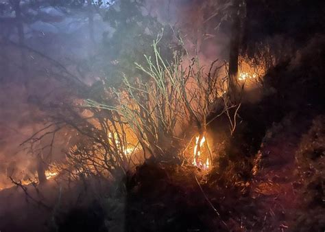 1979年11月22日，在大连召开的全国地震会议暨中国地震学成立大会的最后一天，官方才首次披露了受灾人数。 当时新华社报道，唐山大地震中，总共死亡 当时主管意识形态的 四人帮 成员兼政治局委员 姚文元 甚至说：不能拿救灾压 批邓 ，唐山大地震才死几十万人有什么了不起，批邓是八亿人的事。 登山客疑煮食不慎釀森林大火 當局出動直升機協助撲救｜即時新聞｜兩岸｜on.cc東網