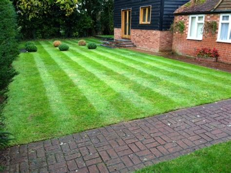 More Great Stripes Eds Garden Services News