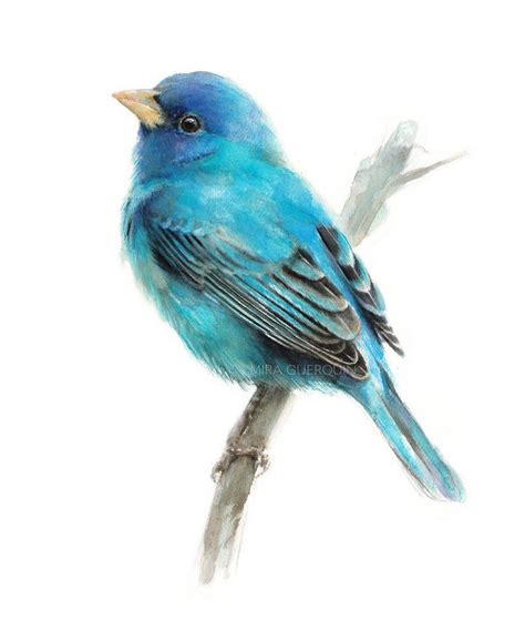 Indigo Bunting Giclee Print Of Watercolor Painting Bird Art Nature Illustration Blue Bird