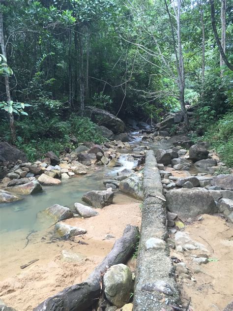 Function #coordinates was not found. Elevation of Gunung Pulai Recreational Forest Western ...