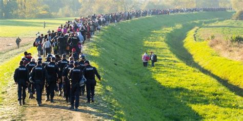 Favorecer la migración legal de personas que tengan las cualificaciones que necesita europa. Migración - Concepto, tipos, causas y consecuencias