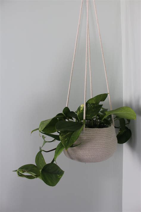 2030 Modern Hanging Basket Ideas