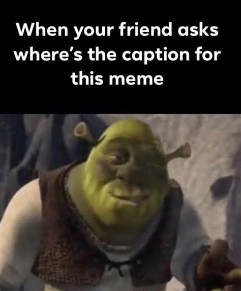 Shrek Should Be Given The Meme Of The Decade Award And You Cant