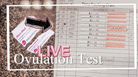 9 Days Past Ovulation Can You Get A Positive Pregnancy Test At 9dpo