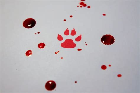 Fake Bloody Paw Trace ⬇ Stock Photo Image By © Seawhisper 5236298