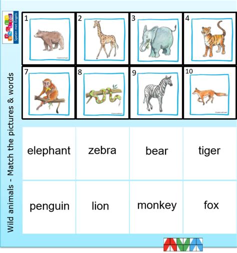 Miniloco Wild Animals Spelen Met Engels Voor Kinderen Vanaf Groep 4