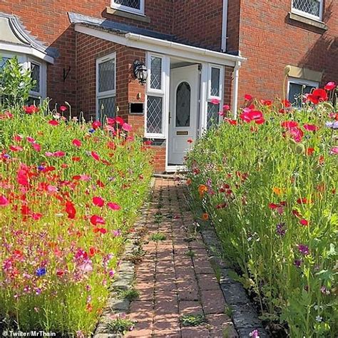 A Gardener Turned His Front Yard Into A Meadow With Poppies The Plant