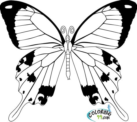 It's going to take a long time to color all of these butterfly coloring pages for adults. Butterfly Coloring Pages | Team colors