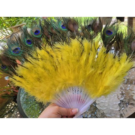 Peacock Feather Fan With Blue Yellow Marabou Feather Fan Altar