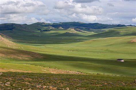 8500 Mongolian Steppe Stock Photos Pictures And Royalty Free Images