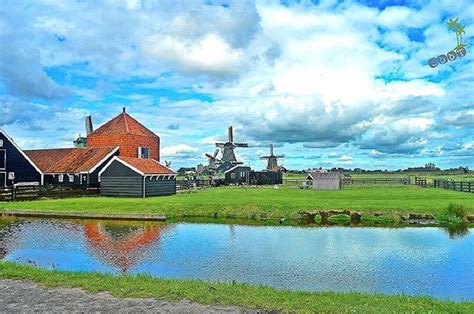 Countryside Amsterdam . . . . . #naturephotography #