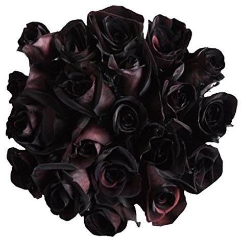 24 Stems Black Roses Bouquet By Flower Explosion Real Fresh Tinted