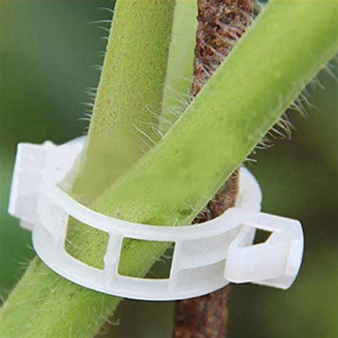 Plastic Garden Plant Support Clips Tomato Clips For Tomato Cucumber