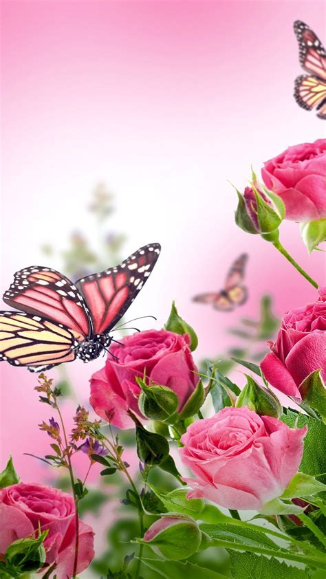 Pink Butterfly Mobile Wallpaper Hd 2021 Cute Wallpapers