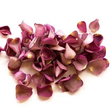 Freeze Dried Rose Petals At Rs 120kilogram Freeze Dried Rose In