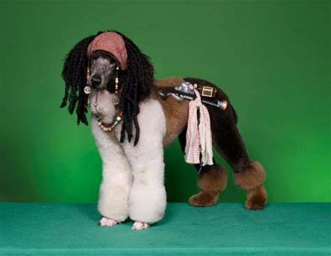 Dogs Groomed To Look Like Fictional Characters And Wild Animals