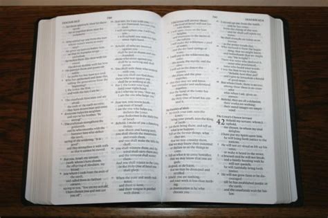 Crossways Large Print Thinline Bible Review Bible Buying Guide