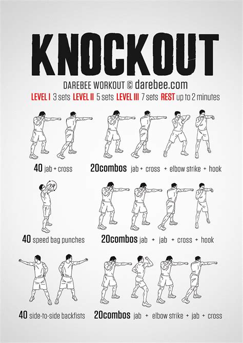 Knockout Workout Entrenamiento De Kickboxing Rutina De Boxeo