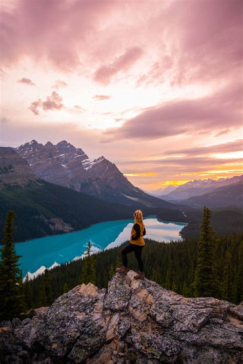 All You Need To Know Before Visiting Peyto Lake