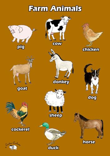 English Poster Farm Animals Little Linguist