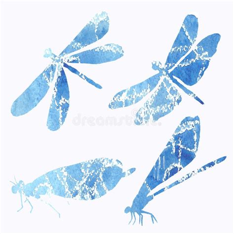 Dragonfly Silhouette Watercolor Illustration Isolated On White Stock