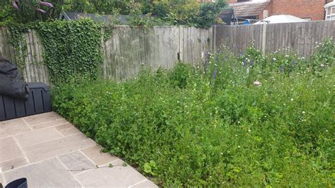 How Do I Keep Weeds Out Of My Garden Naturally How To Stop Weeds From