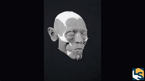 This Stone Age Mans Jawless Skull Was Found On A Spike Heres What He