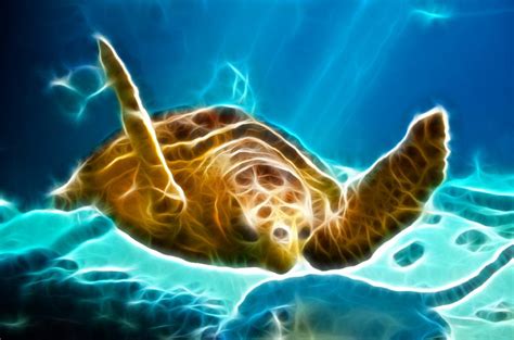 Free Aquarium Screensavers Hd Sea Turtle Screensaver New Full