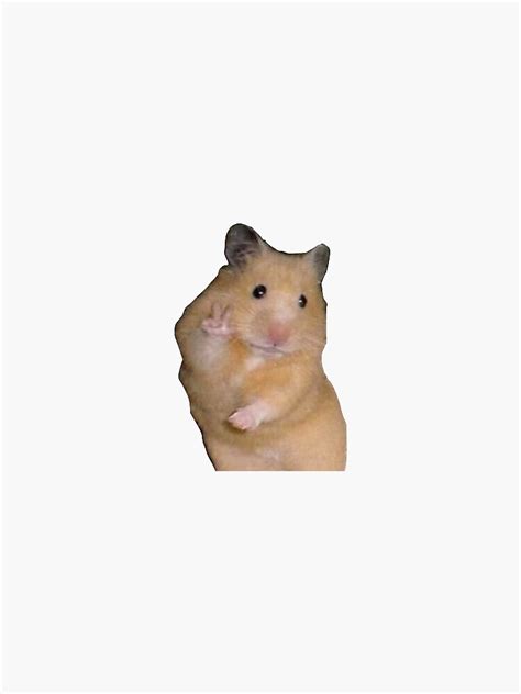 Hamster Peace Sign Sticker By Sabinalew10 Redbubble