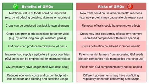 Genetically Modified Organisms Food Pros And Cons Achargert