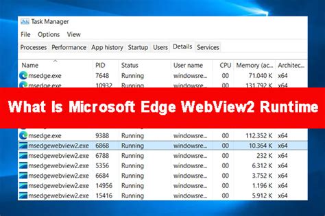 What Is Microsoft Edge WebView Runtime How To Fix Its Issue Hot Sex Picture