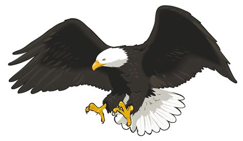 Eagle Clipart Transparent Background 10 Free Cliparts Download Images