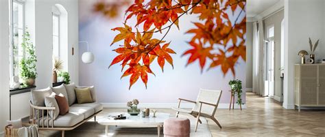 Maple Autumn Leaves High Quality Wall Murals With Free Uk Delivery